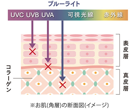 U.B.P.メイクベース